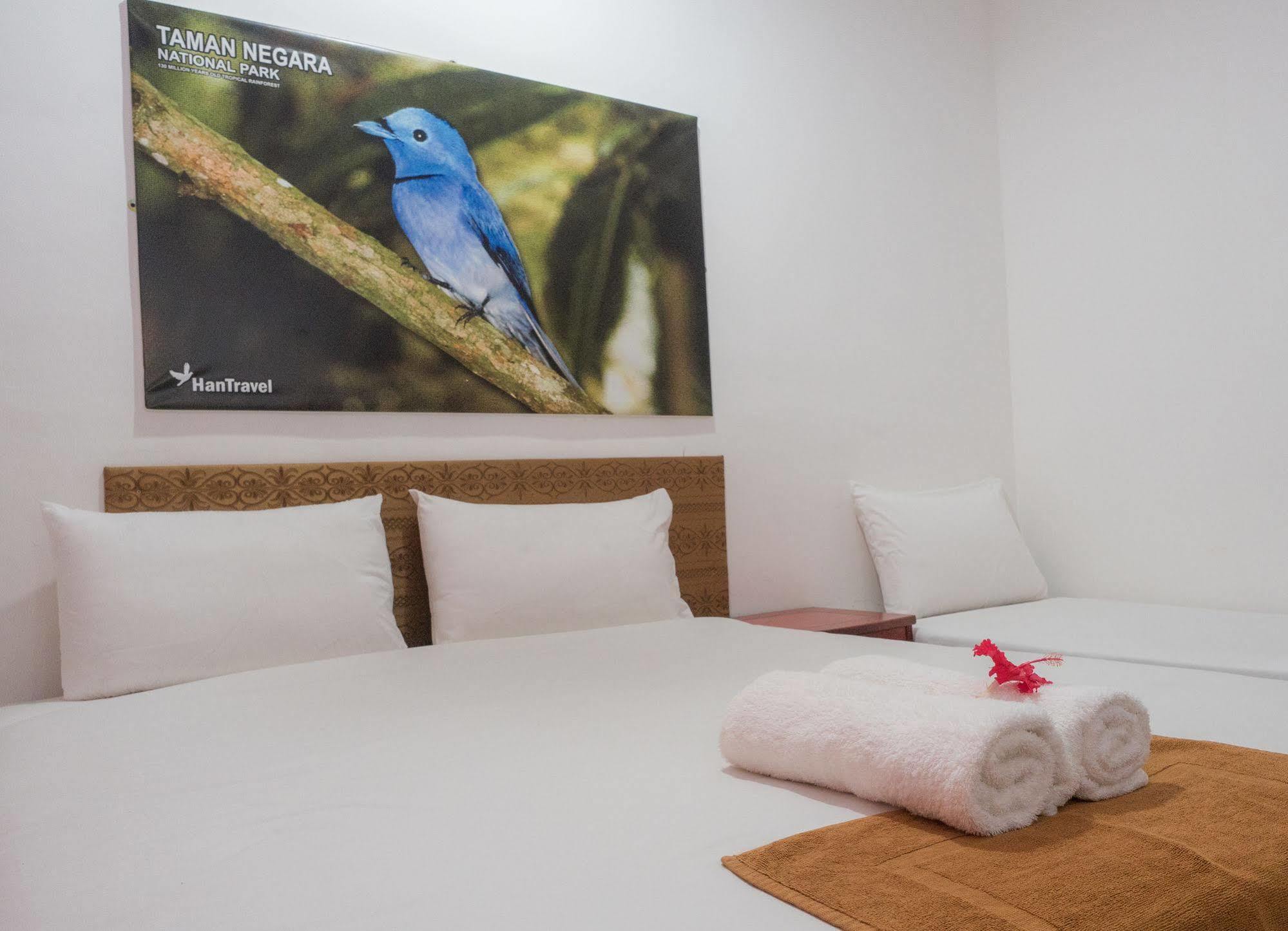 Han Rainforest Resort 瓜拉大汉 外观 照片